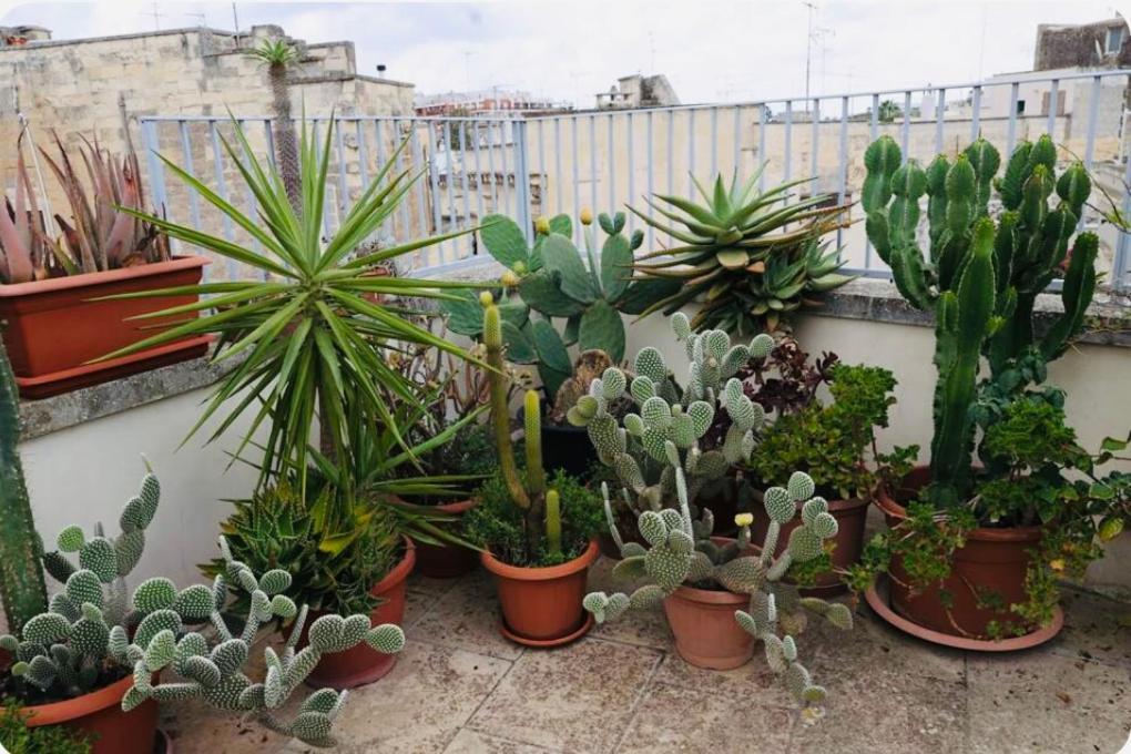 Fior Di Loto Villa Lecce Exterior foto